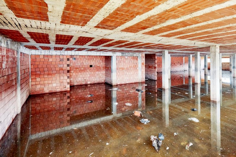 Basement Water Cleanup in Mesa, AZ