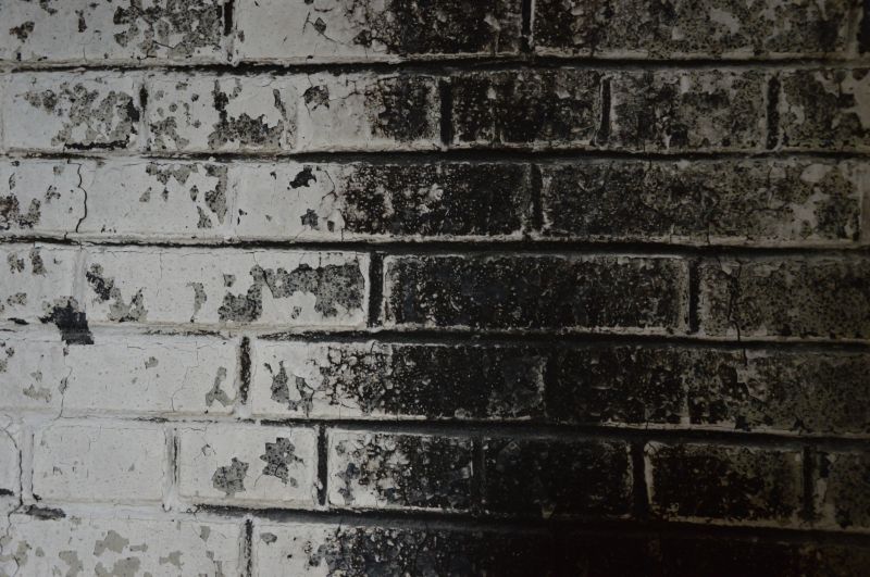 Smoke Remediation Service