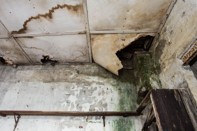 Water Damage Restoration in Phoenix, AZ